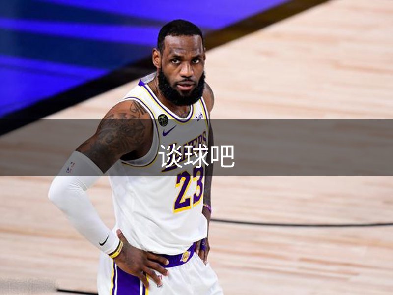 网站概况